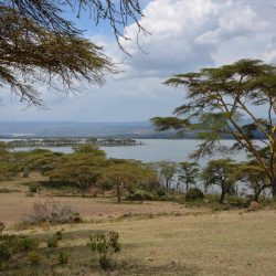 Lake Naivasha