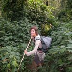 Volcanoes Nationalaprk, Gorilla Trekking