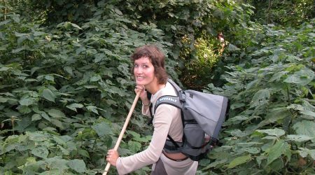 Volcanoes Nationalaprk, Gorilla Trekking