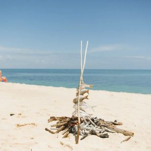 Lazy Lagoon_ Barbecue am Strand