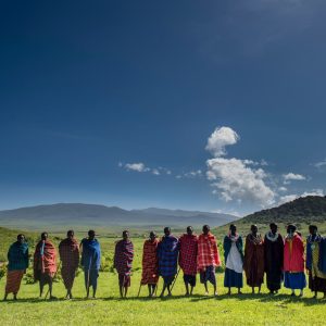 Lions Paw Camp