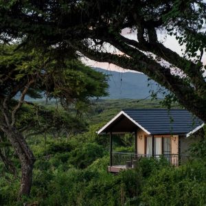 Lions Paw Camp