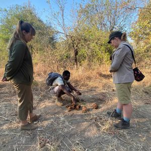Luambe Camp