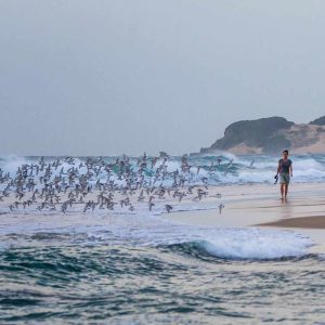 Maputo und Baden am Indischen Ozean, Machangulo Beach Lodge