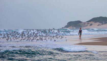 Maputo und Baden am Indischen Ozean, Machangulo Beach Lodge