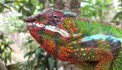 Madagaskar Reise