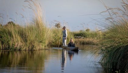 3 Länger Gruppensafari, idyllisches Okavango Delta
