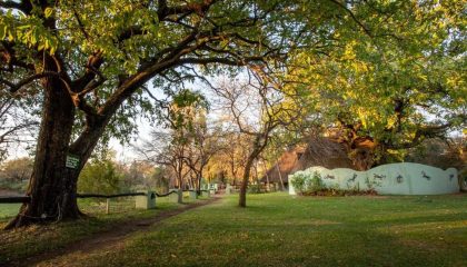 Campingsafari, Maramba River Lodge, Gartenanlage