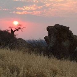 Mashatu Game Reserve_6