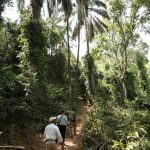 Gombe Stream Nationalaprk, Mbali Mbali Gombe Camp