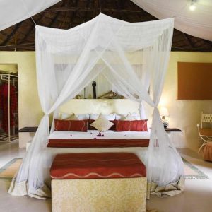 Mbweha Camp