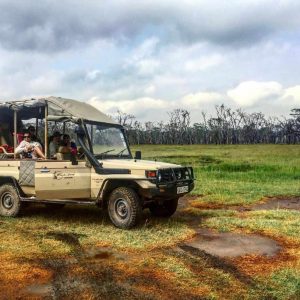 Mbweha Camp