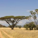 Meru Nationalpark