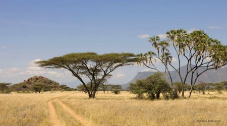 Meru Nationalpark