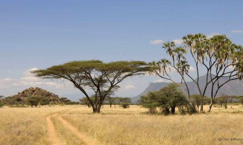 Meru Nationalpark