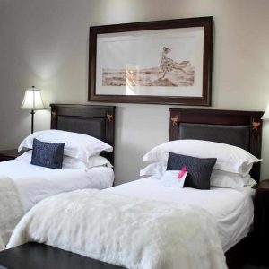 Mooiplaas Guesthouse twin Betten