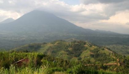 Gorilla Safari im Mount Maghinga Nationalpark, Mount Gahinga Lodge