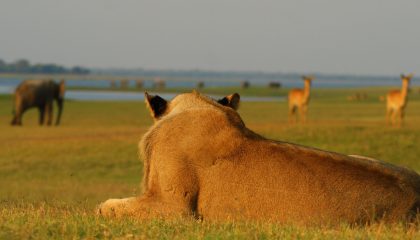 Die Gegend um das Nanzhila Camp