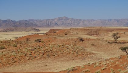 Geführte Sossusvlei Safari, einmalige Landschaft