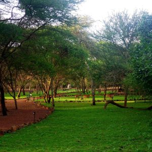Ndarakwai Camp