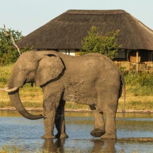 Nehimba Safari Lodge