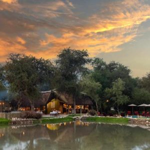 Onguma Forest Camp