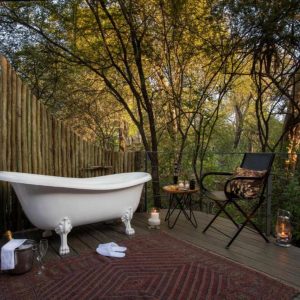 Onguma Forest Camp