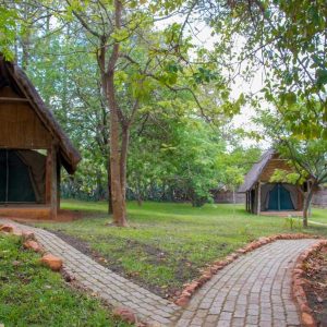 Pioneer Camp Zelt