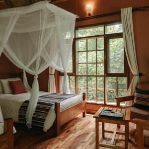 Primate Lodge