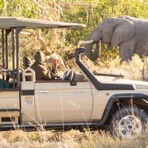 Individuelle Flugsafari in Botswana, Ra-Dinare Camp Pirschfahrt