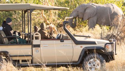 Individuelle Flugsafari in Botswana, Ra-Dinare Camp Pirschfahrt