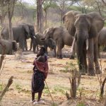 Ruaha National Park