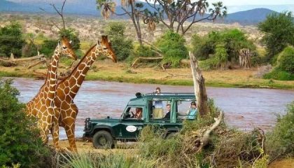 Samburu Intrepids, Pirschfahrten