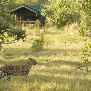 Sango Safari Camp