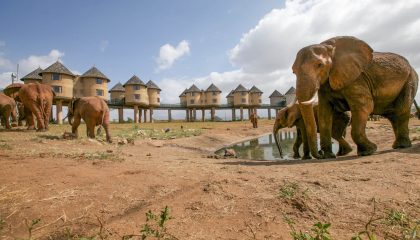 Taita Hills & Tsavo Safari