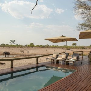 Savute Safari Lodge
