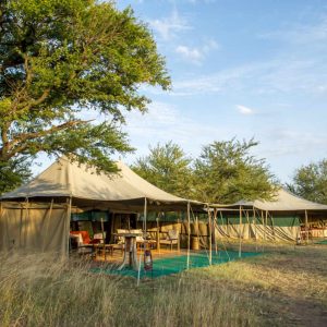 Serengeti Wilderness Camp