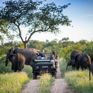 Simbavati River Lodge