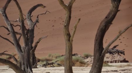 Sossusvlei Guide