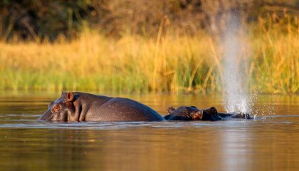 Namibia & Botswana Rundreise mit Sunway