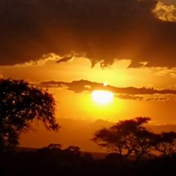 Einzigartige Sonnenuntergänge