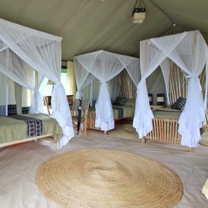 Tarangire View Camp