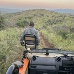 Thanda Game Reserve, Tracker