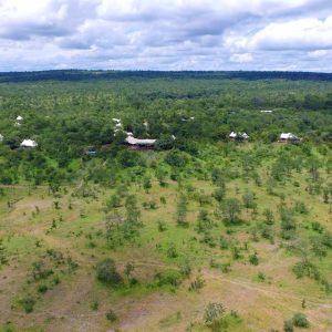 The Elephant Camp