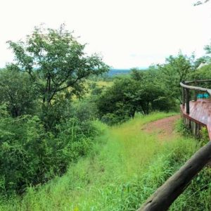 The Elephant Camp