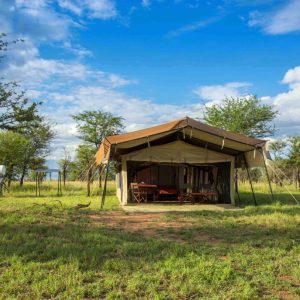 Thorn Tree Camp
