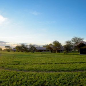 Thorn Tree Camp