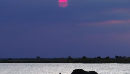 Privat geführte Campingsafari
