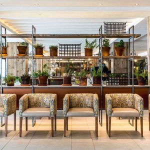 Trademark Hotel_1