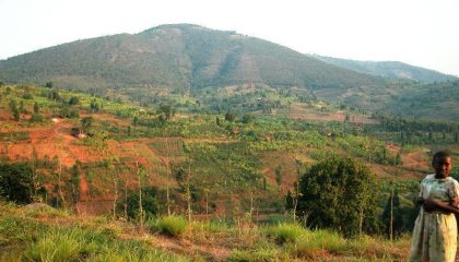 Preiswerte Uganda Overland-Safari